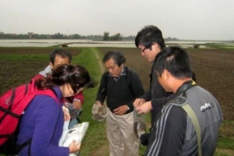 Phối hợp với các nhà nghiên cứu Nhật Bản khảo sát di tích khảo cổ hai bờ Sông Lam.